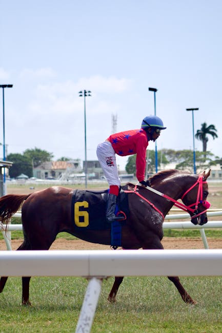 Baby and toddler care essentials and monitoring