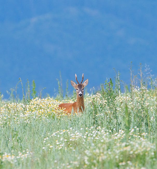 Healthy nutritional meal planning for fitness